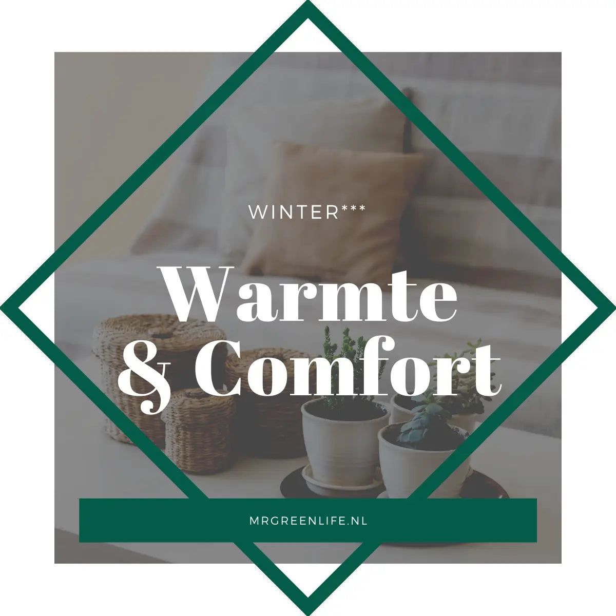 De Perfecte Warmte en Comfort voor Elke Gelegenheid