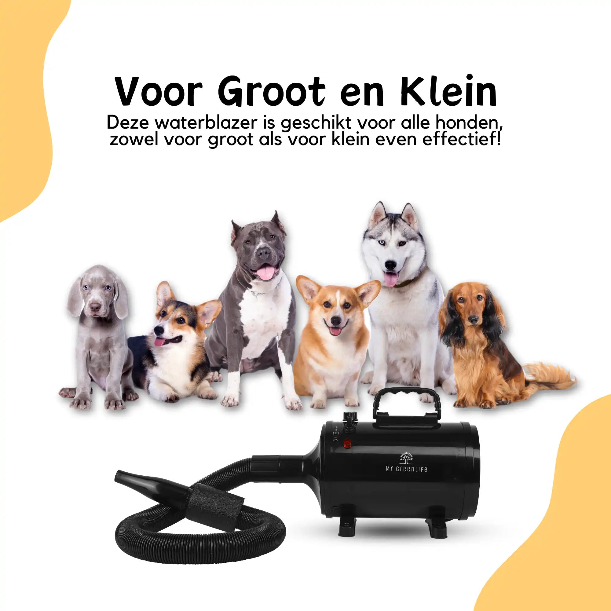 Zwarte hond verzorging haardroger.